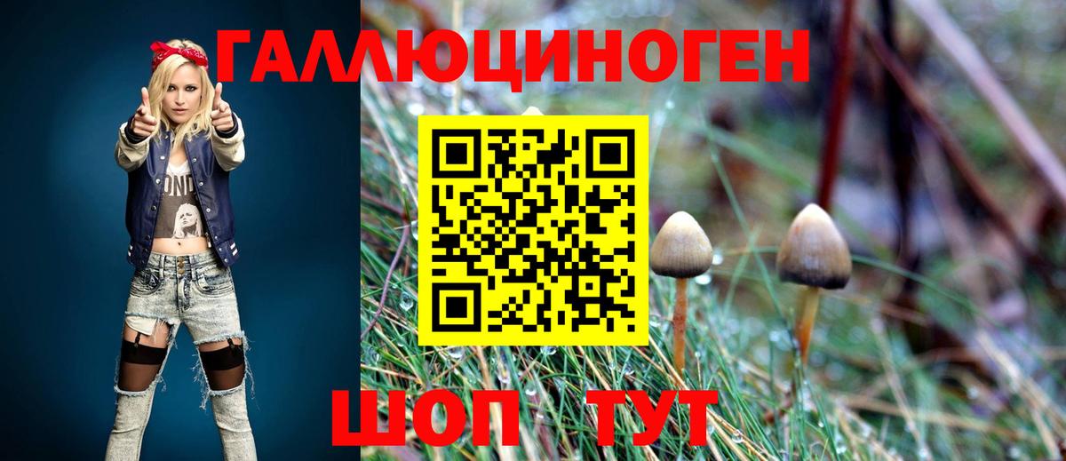Петрозаводск  Псилоцибиновые грибы MAGIC MUSHROOMS  Вход с VPN 